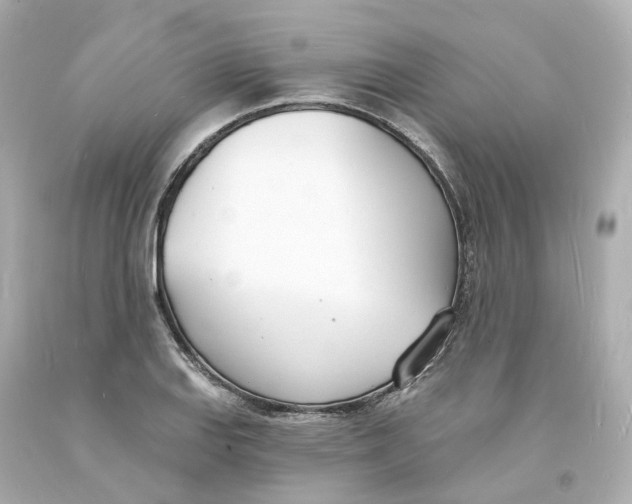 X0000093601127200711051153