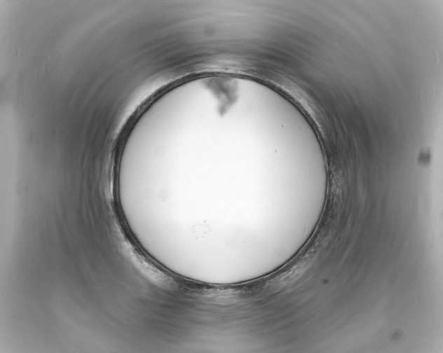 X0000093601131200711051153