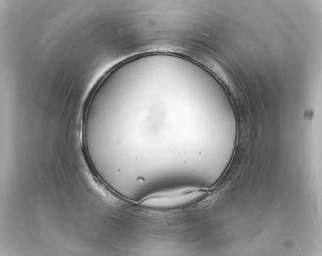 X0000093601132200711051153