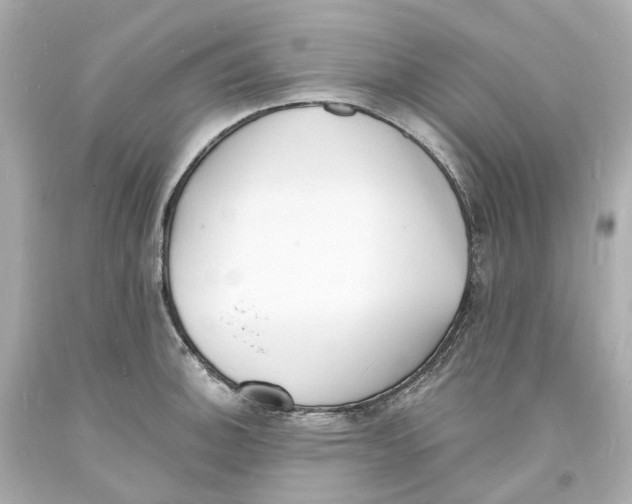 X0000093601140200711051153