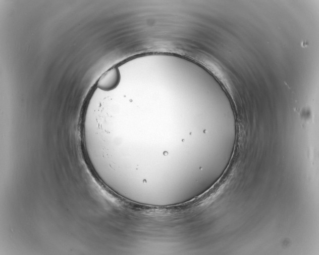 X0000093601141200711051153