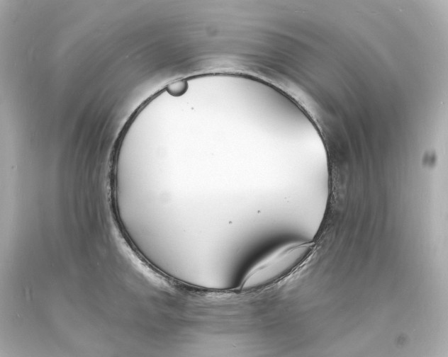 X0000093601142200711051153