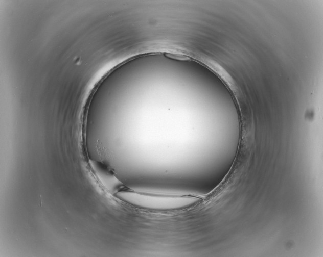 X0000093601144200711051153