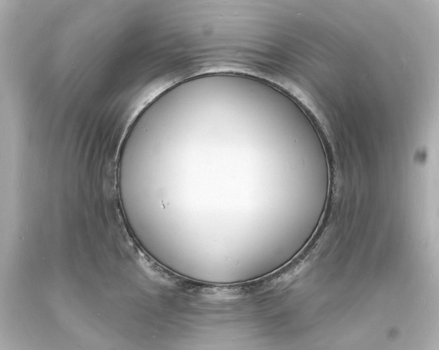 X0000093601145200711051153