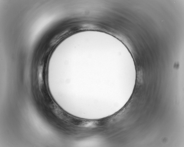 X0000093601150200711051153