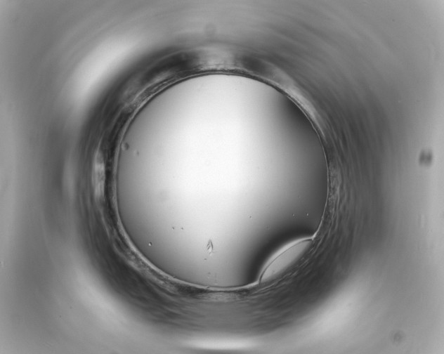 X0000093601151200711051153