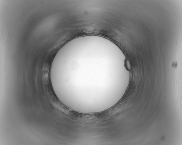 X0000093601154200711051152