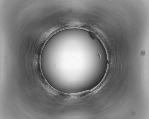 X0000093601161200711051152