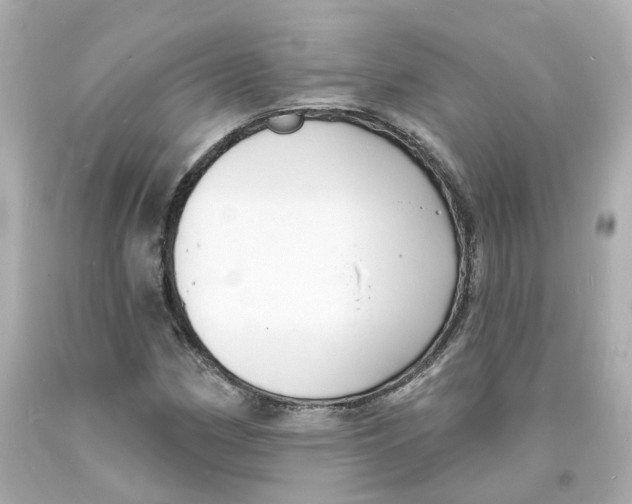 X0000093601162200711051152