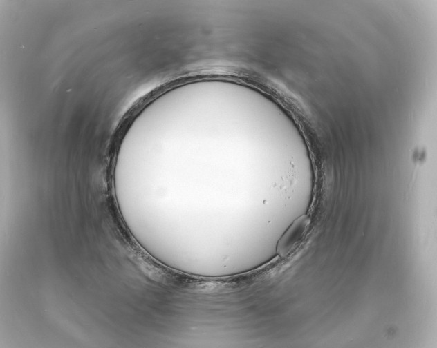 X0000093601166200711051152