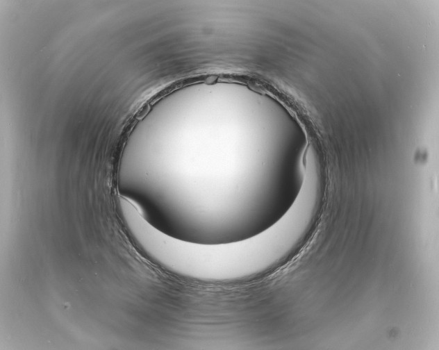 X0000093601169200711051152