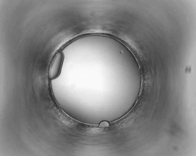 X0000093601173200711051152