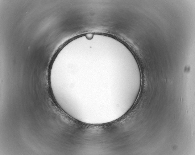 X0000093601174200711051152