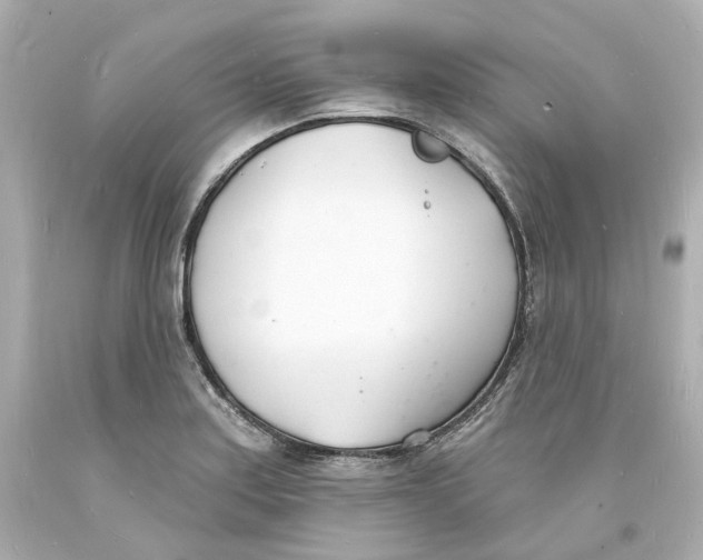 X0000093601179200711051152