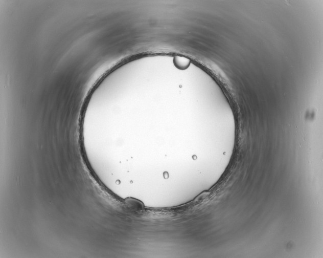 X0000093601183200711051152