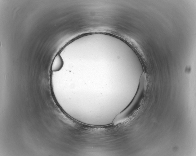 X0000093601184200711051152