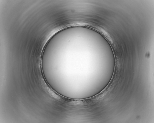 X0000093601186200711051152