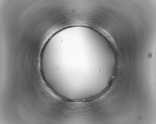 X0000093601188200711051152