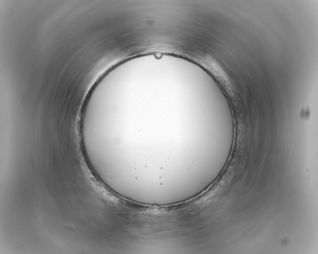 X0000093601190200711051152