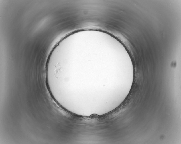 X0000093601191200711051152