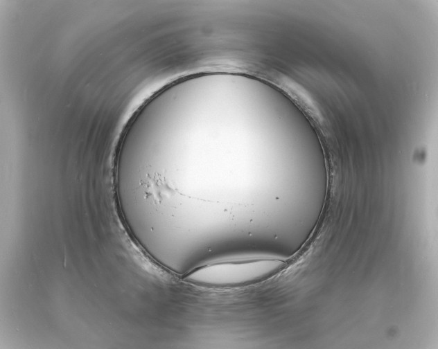 X0000093601192200711051152