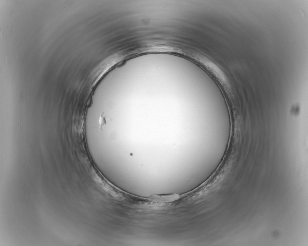 X0000093601193200711051152