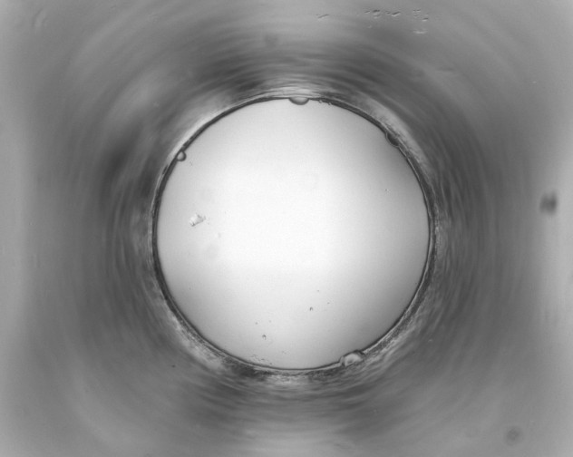 X0000093601194200711051152