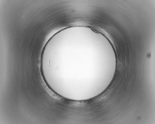 X0000093601195200711051152