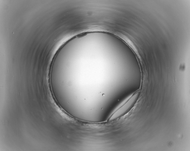 X0000093601197200711051152