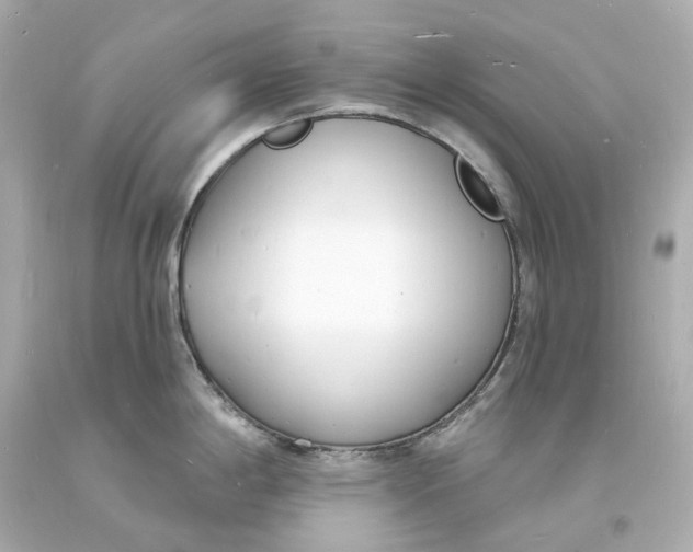 X0000093601198200711051152