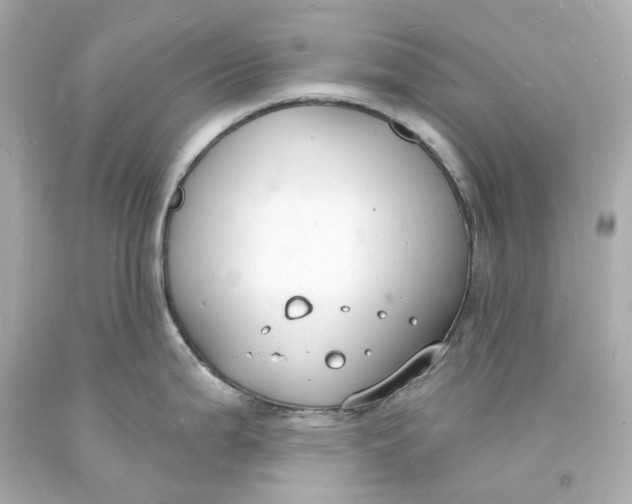 X0000093601199200711051152