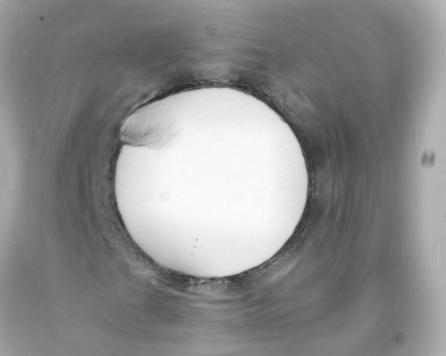 X0000093601201200711051151