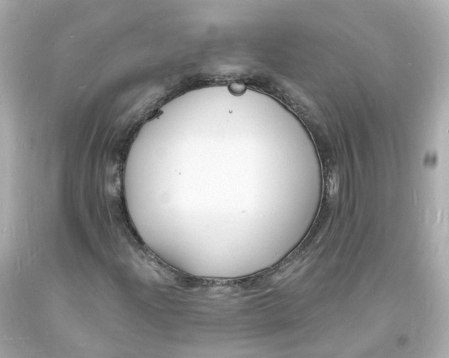 X0000093601204200711051151