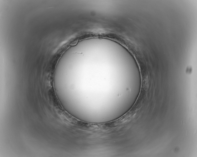 X0000093601205200711051151