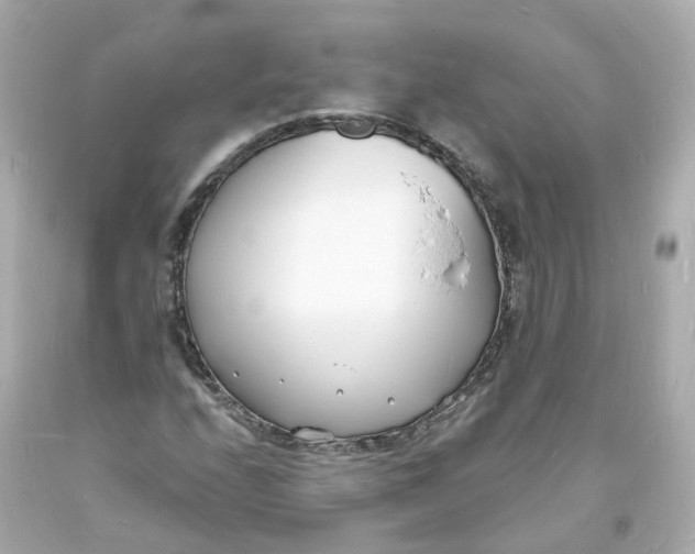 X0000093601208200711051151