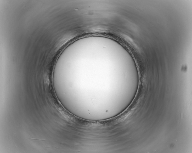 X0000093601209200711051151