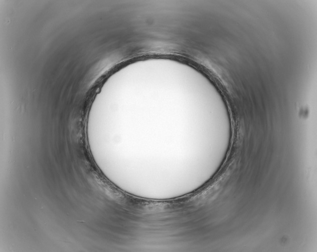 X0000093601211200711051151