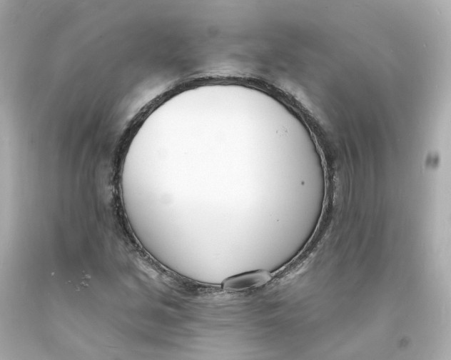 X0000093601213200711051151