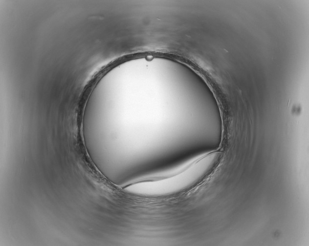 X0000093601214200711051151