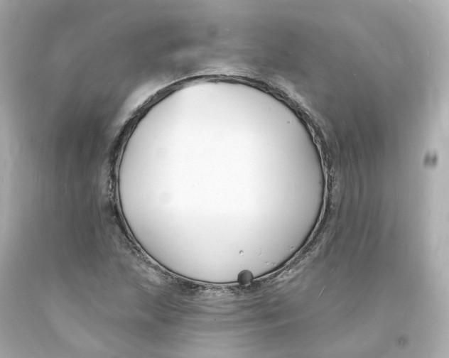 X0000093601215200711051151