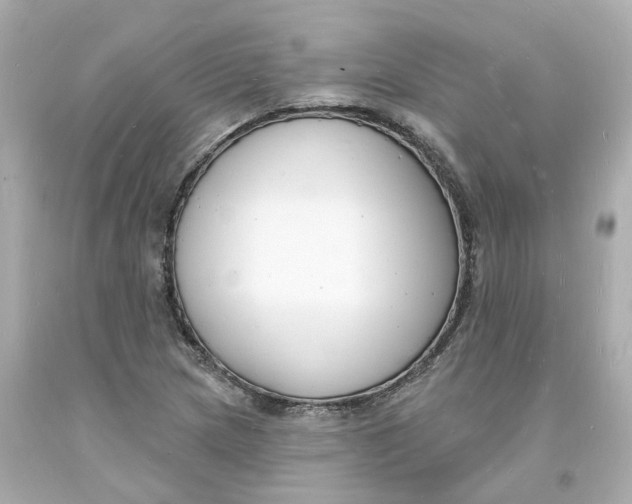 X0000093601217200711051151