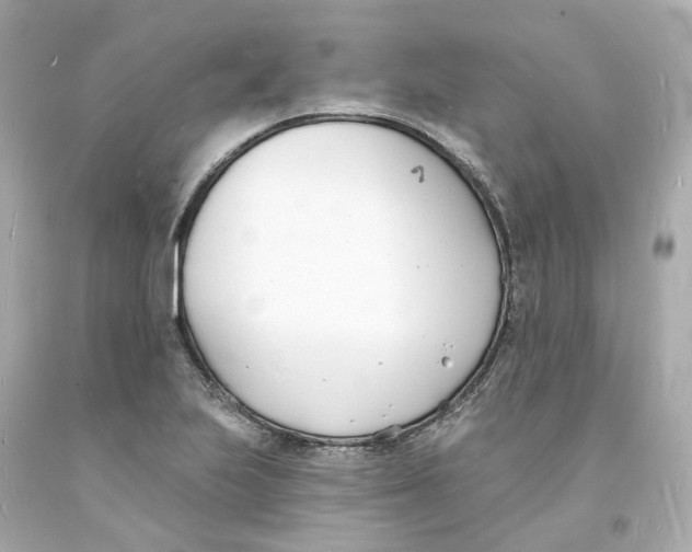 X0000093601223200711051151