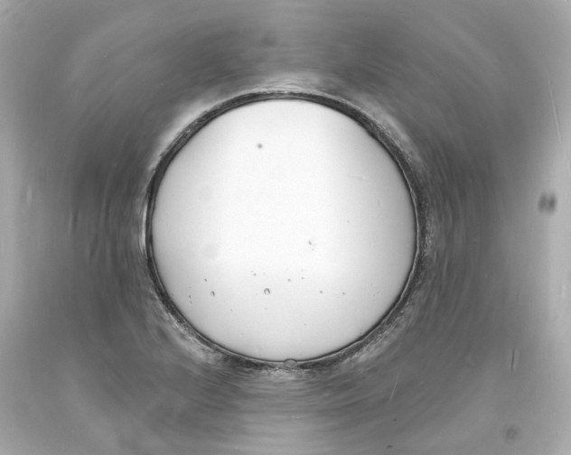 X0000093601224200711051151