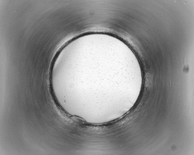 X0000093601229200711051151