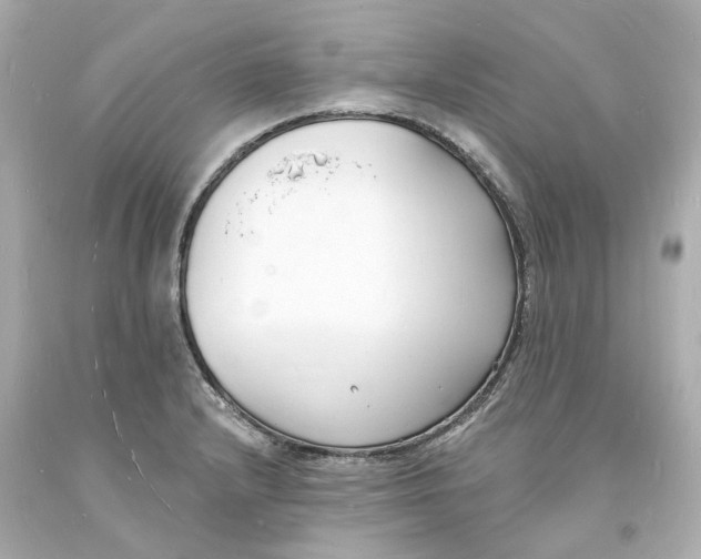 X0000093601232200711051151