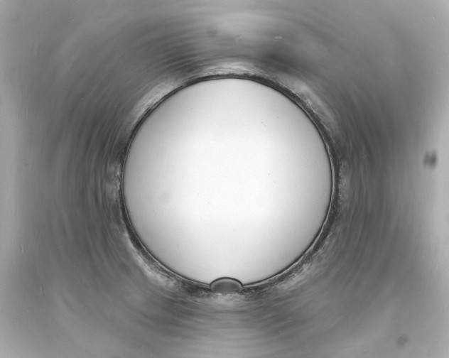 X0000093601233200711051151