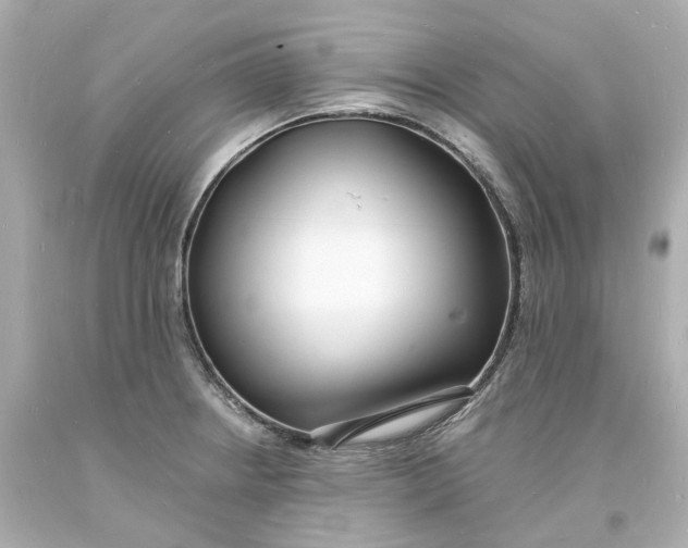 X0000093601234200711051151