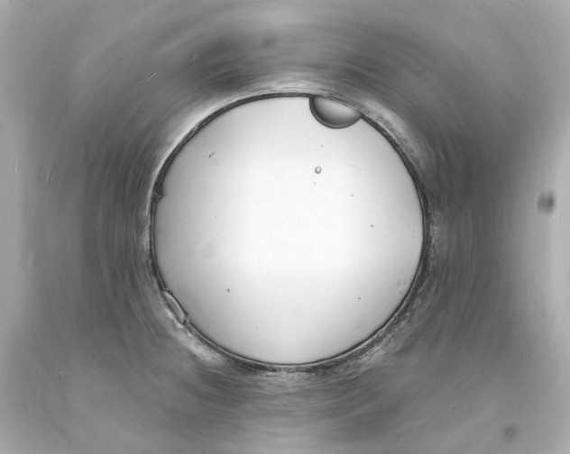 X0000093601236200711051151