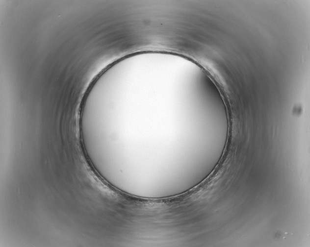 X0000093601238200711051151