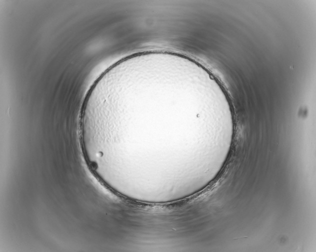 X0000093601239200711051151